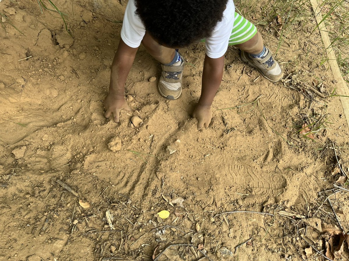 PeggyAshbrook's tweet image. ☺️ My happy place: where science education in early childhood education overlap. @ECSIF #ECE #STEMstartsEarly