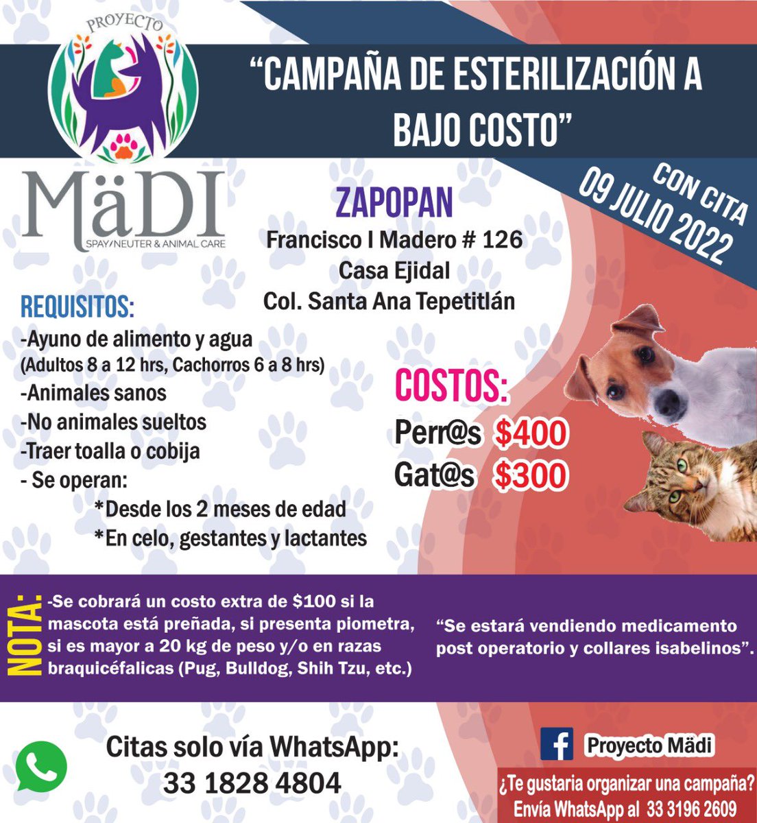 TottemAnimal's tweet photo. #Zapopan 9 julio 22 https://t.co/RnbNK3511U