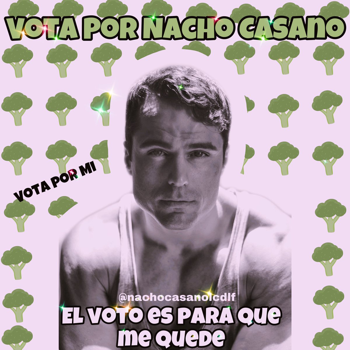 Lesliepugaa's tweet photo. A votar por Nacho Casano 💚💚para que se quede en la casa #teamnacho #NachoCasano #NachoFinalista #NACHOGANADOR #LCDLF2 https://t.co/Gcyytiqxkg
