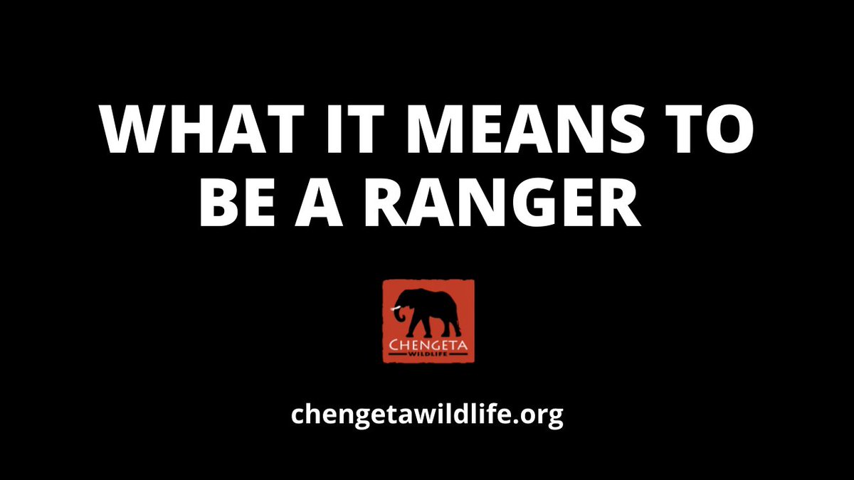 Inspiring World Ranger Month and Shop Our Logo Merchandise. Watch our Class of 2022 ranger graduation video and be inspired by the work of eco-guards in Africa in the run up to World Ranger Day. Read more here: mailchi.mp/88fd06ae4e67/i…