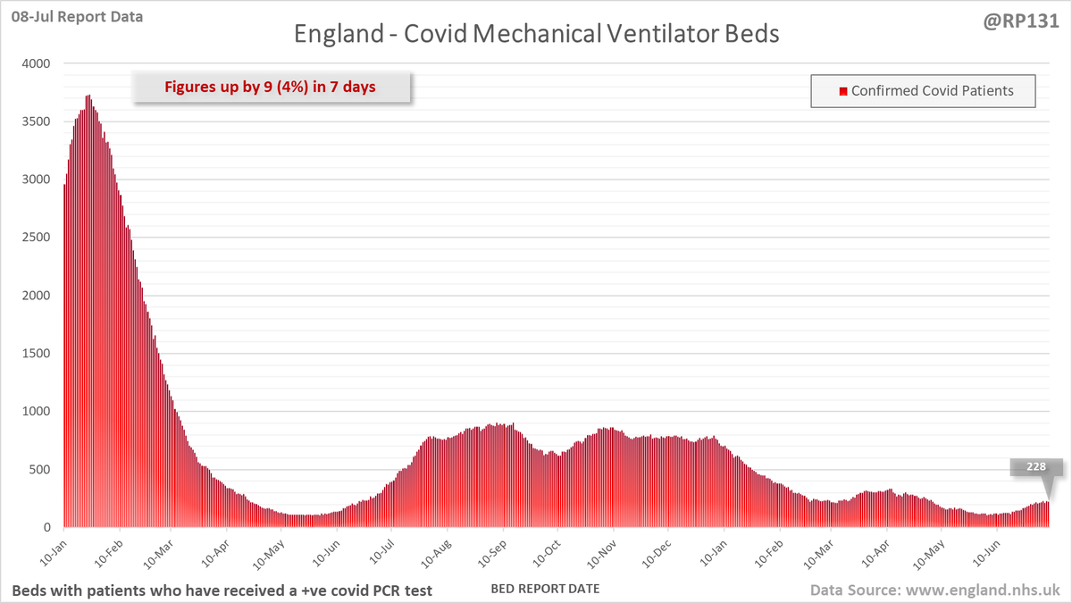 Richard 📊📉 tweet media