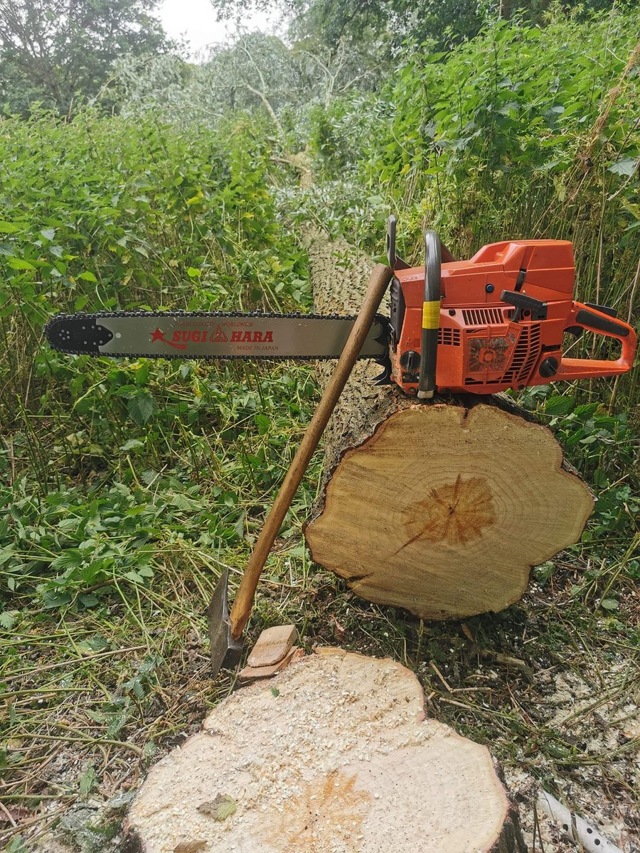 RFTreeSurgeons's tweet photo. Some lovely Willow trees felled by one of our felling teams. 
https://t.co/hCgDeV6McW https://t.co/ywZ9G6QKXj