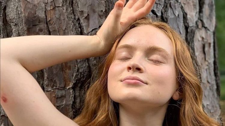 sadie thinker tweet media