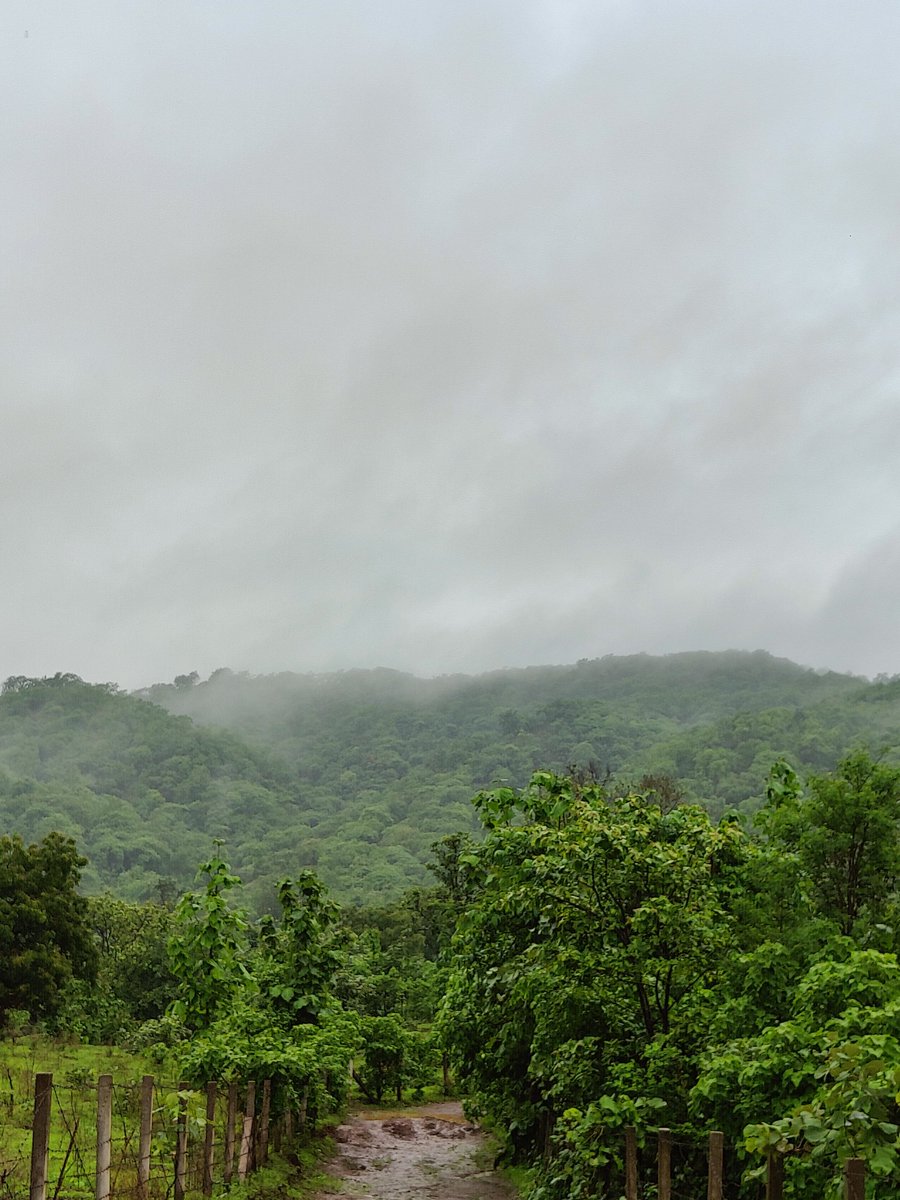 RFOJHAGHDIA tweet media