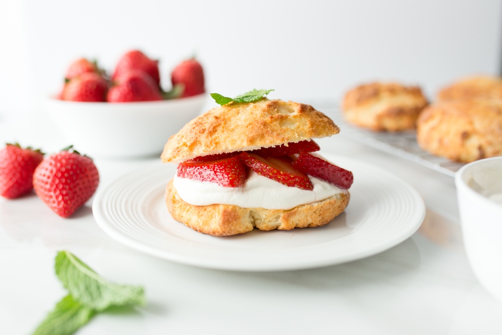 teachnutrMB's tweet photo. Strawberry shortcake, the quintessential Canadian dessert, is a must to make while juicy, sweet strawberries are bountiful at farms and markets. 🍓

Are you going strawberry picking this year?

https://t.co/NJomFlP79i https://t.co/kvZ4BnmNiS