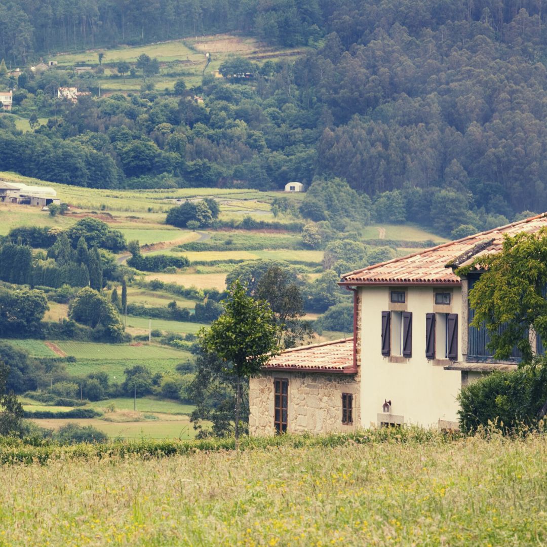 ¿Por qué elegir turismo rural?.

💛 Naturaleza.
💛 Oferta
💛 Paisajes
💛 Compañía
💛 Trato familiar.
💛 Relax.

¿Cuál es tu razón para elegir turismo rural este año? 

#turismorural  #turismoruralespaña  #turismoruralconniños  #somosturismorural  #ecoturismorural