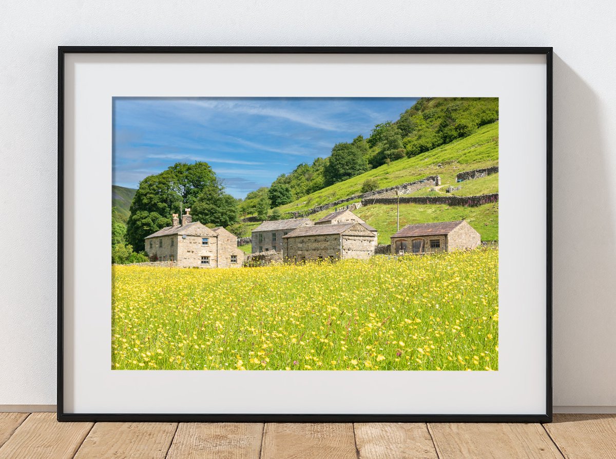 CJWimages's tweet photo. A piece of pure Yorkshire Dales #spring.  A sturdy #Dales farmhouse on the riverside path in #Swaledale from #Muker and to Gunnerside.  The #buttercup meadows were just amazing. 

#yorkshire #landscapephotography #yorkshiredales #print

https://t.co/yzIaNNJriE https://t.co/jrssFdsLn7