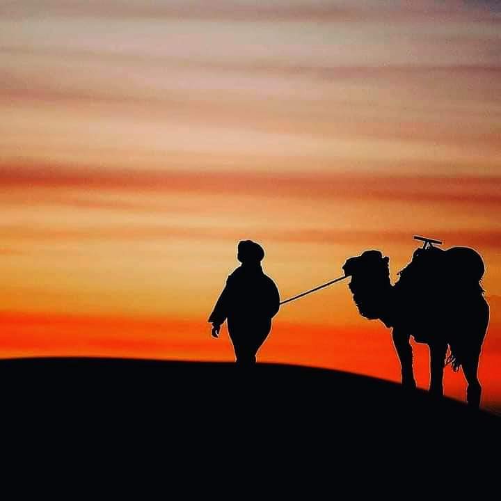 TripsCamel tweet picture