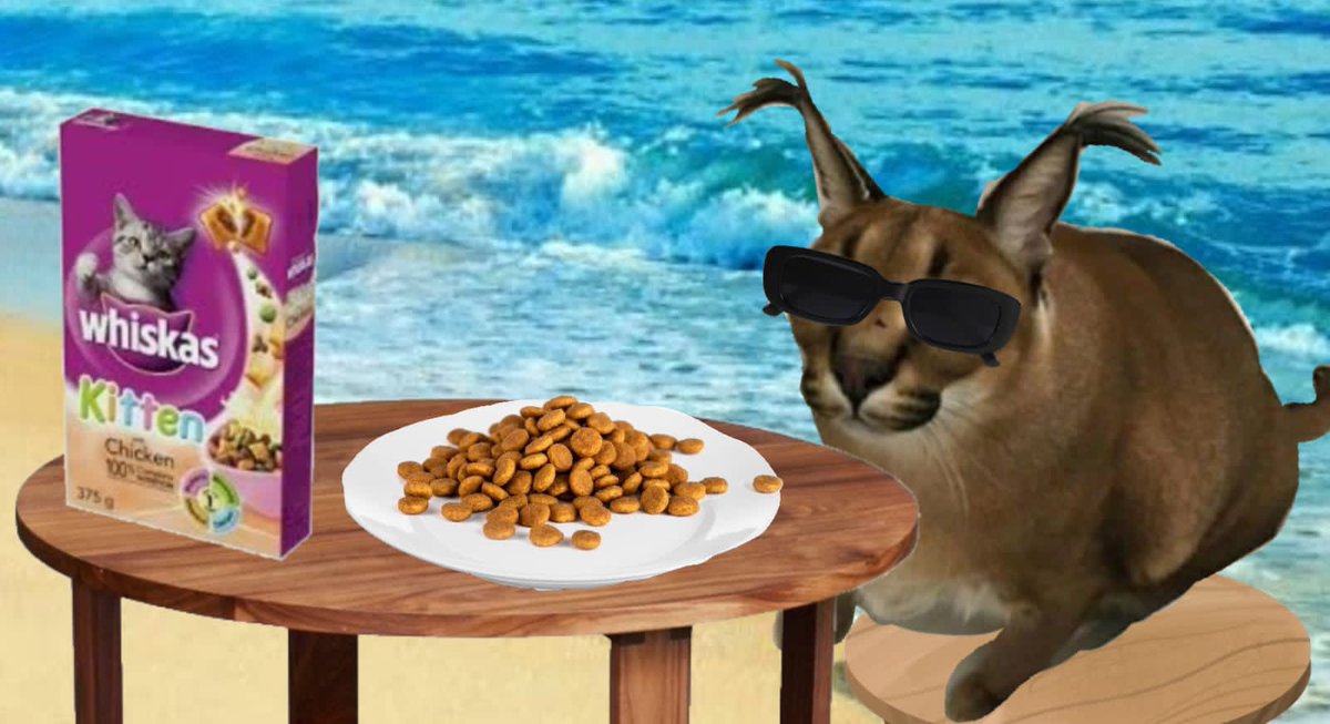 GuarixsHumilde's tweet photo. Whiskas alimenta a tu gato. https://t.co/VOuOEjGh2w
