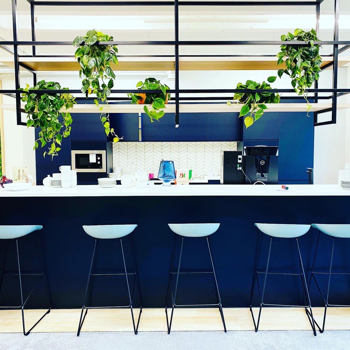 A beautiful display of hanging plants in our clients kitchen. 😍

#ukvenues #kitchenplants #hangingplants #indoorplants