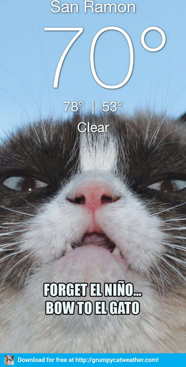 Check out the Grumpy Cat Weather App at grumpycatweather.com #GrumpyCatWeather