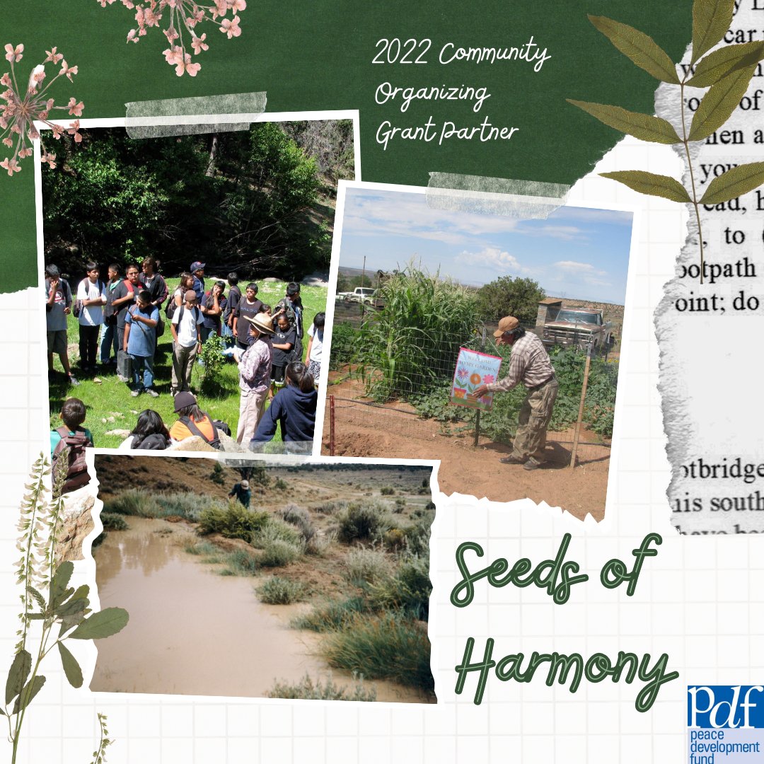 PeaceDevFund's tweet image. Today, we are happy to spotlight Round Rock, AZ’s Seeds of Harmony! Founded in 2021, Seeds of Harmony’s mission is to care for the earth, its people, and its natural resources.

#PeaceDevelopmentFund
#2022GrantPartners
#SeedsofHarmony
#IndigenousKnowledge