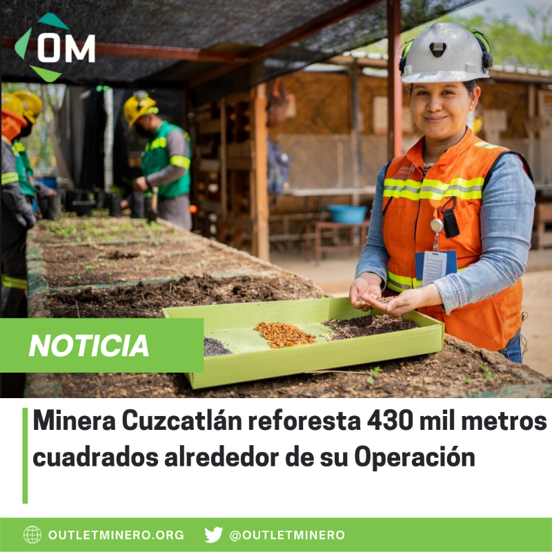 Outletminero's tweet photo. Compañía @MineraCuzcatlan ha #reforestado una superficie de 43 hectáreas en la región de los Valles Centrales de #Oaxaca, como parte de su compromiso y acciones contempladas en su Política de Medio Ambiente.
@SEMARNAT_mx @CONAFOR @GobOax
