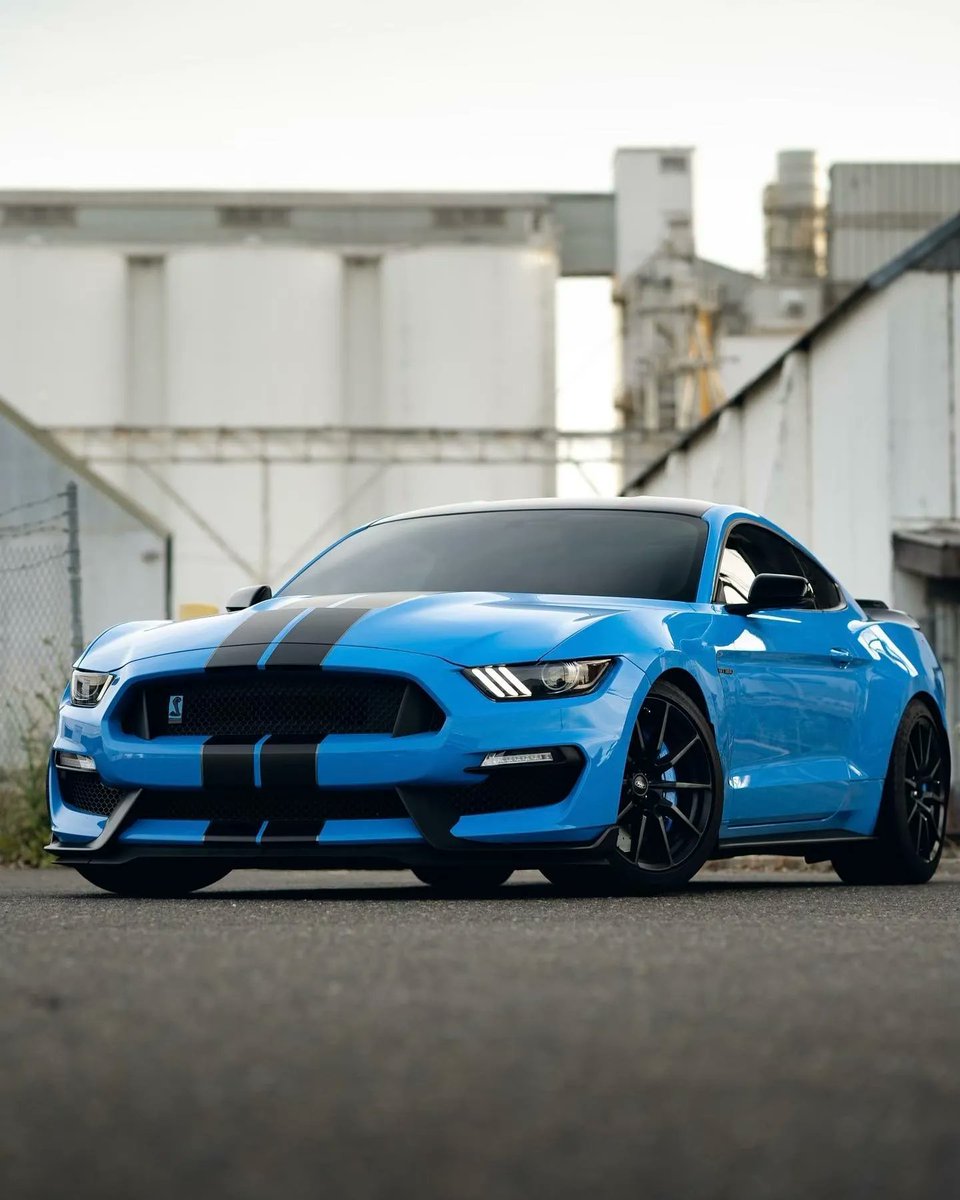 steedaautosport's tweet photo. Front end Friday just looks better on a Mustang, don't you agree?
Owner: speedy5.2
Photographer: sac.perspective
Make your #GT350 perform like never before with Steeda! https://t.co/382CjXsWc3
#gt350r #grabberblue #gt #voodoo #mustangnation #steeda #steedaautosports https://t.co/McuLEHv2hZ