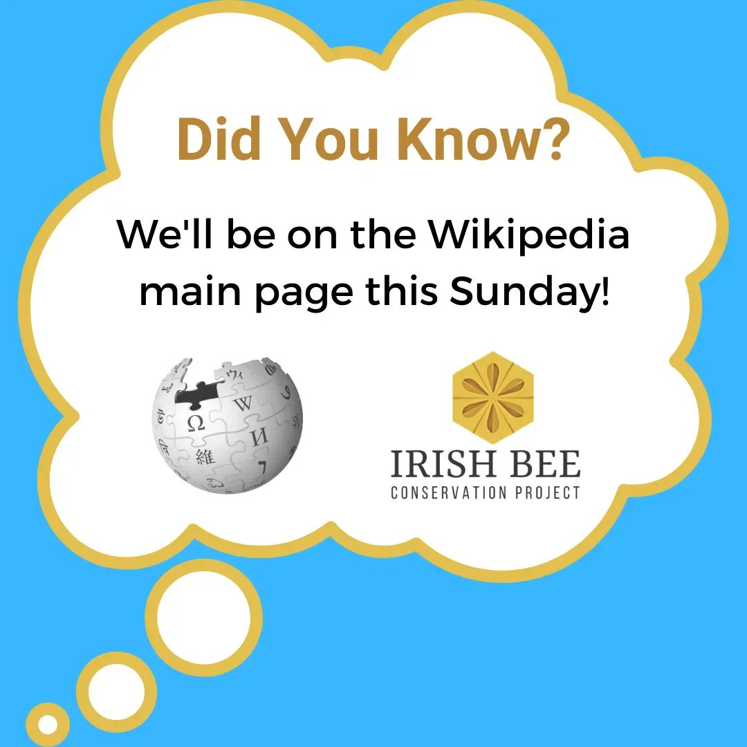 IrishBeeCP's tweet photo. IBCP is due to feature on the main page of Wikipedia in the "Did You Know" section this Sunday for 24 hours. Check it out and let us know what you think!

#savethebees #amifamousyet #noautographsplease #humblebrag https://t.co/HsqtpLmdTc