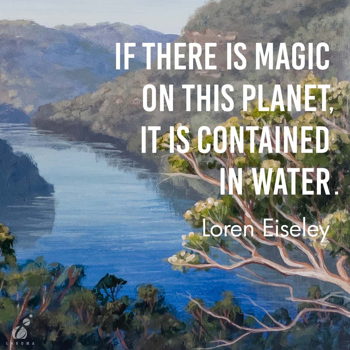 Chroma Incorporated tweet media