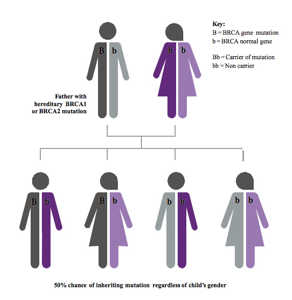 MBCGlobAlliance's tweet photo. Men are being urged to get tested for the gene that causes breast cancer. https://t.co/yFEoPVJ3HZ #malebreastcancer #breastcancerawareness #MensHealth https://t.co/w9NeSdi17R