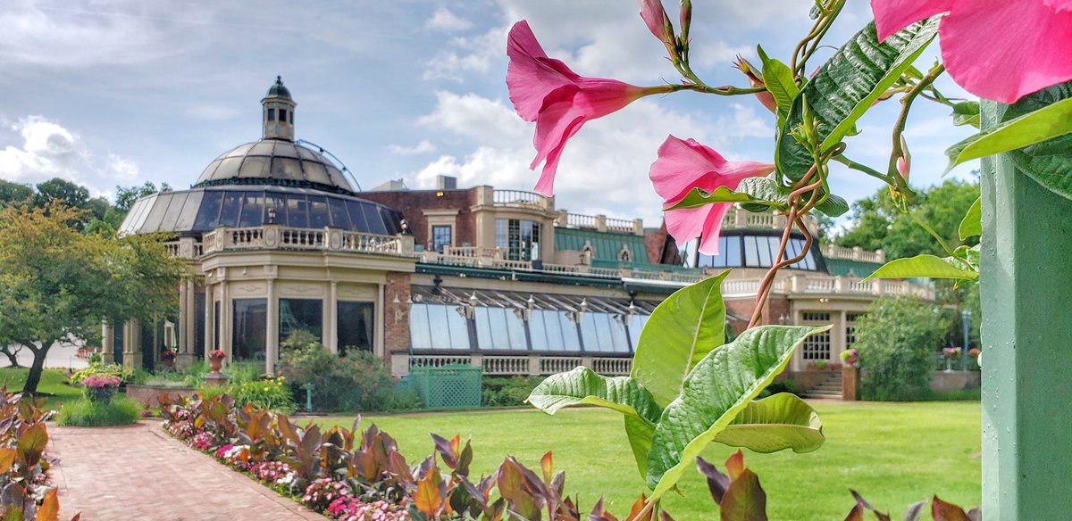 The Manor tweet media