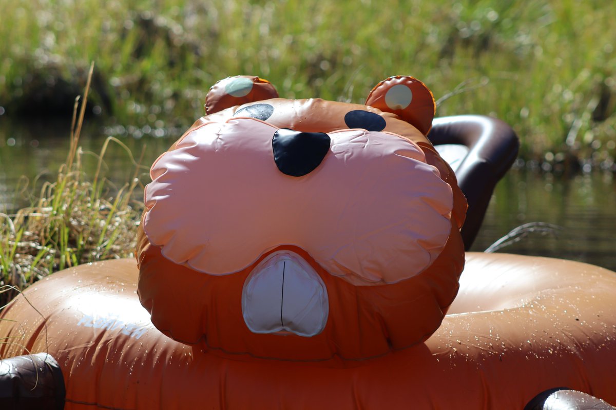 Dr. Emily Fairfax tweet media