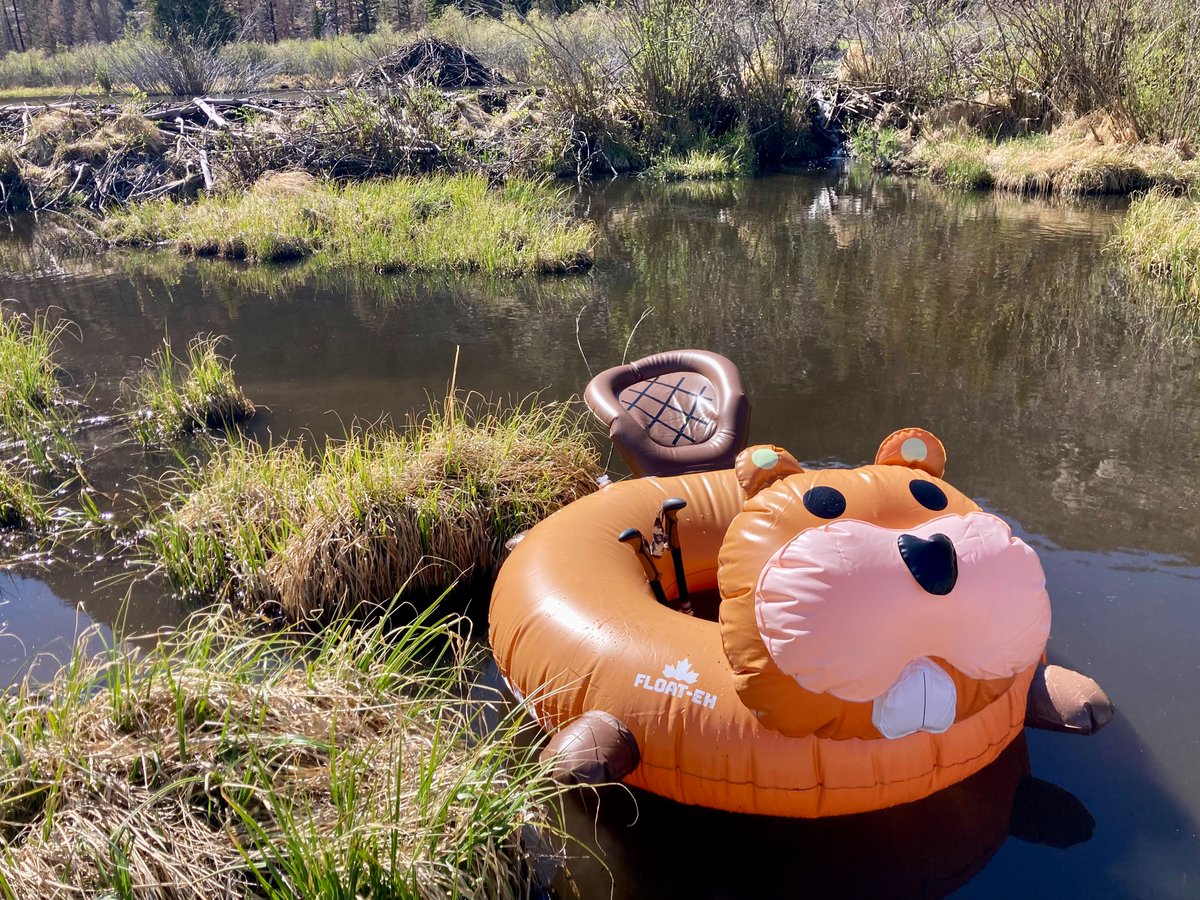 Dr. Emily Fairfax tweet media