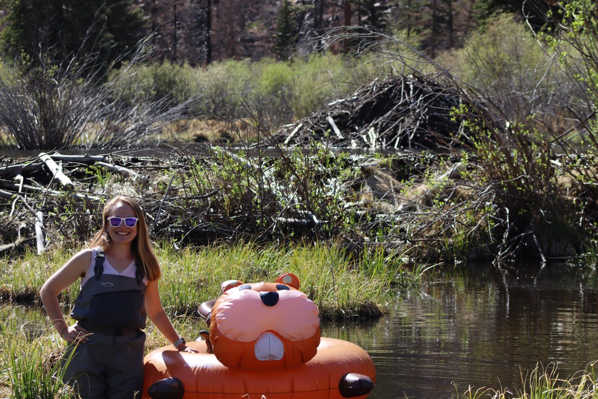 Dr. Emily Fairfax tweet media