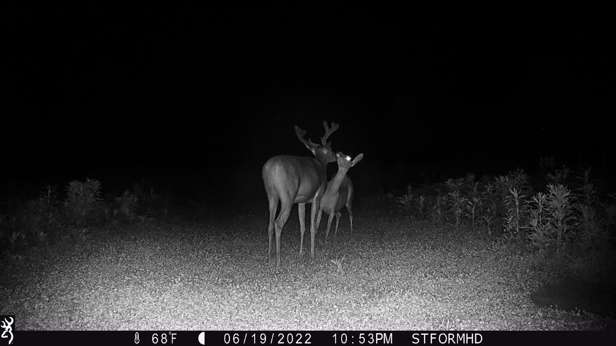 <a href="/andi_rothove/">Andrea Rothove</a> <a href="/BrowningCams/">BrowningTrailCameras</a> <a href="/BrowningArms/">Browning</a> <a href="/HuntTheBreak/">Derek Dirnberger - The Break</a> <a href="/WildlifeEnthMag/">Wildlife Enthusiast Magazine</a> <a href="/adventuresszine/">ADVENTURESS Magazine</a> 1st Date!