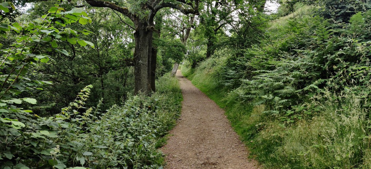 MeaninginNature's tweet photo. Finally got to try out my new #hoka #trail #runningshoes on the #malvernhills.
#trailrunning is great for #crosstraining, #mindful #running and generally having a great experience in #nature. 
#worcestershire #malvern #natureconnection @theactivefootco @hoka #forestbathing https://t.co/HSFvpkNxzo