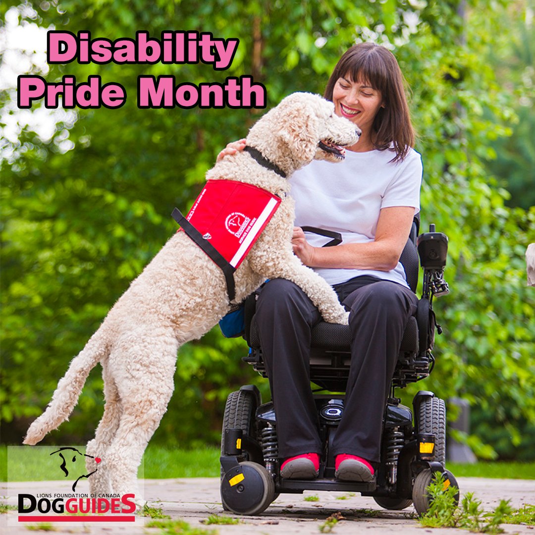 LFCDogGuides's tweet photo. July is #DisabilityPrideMonth! It's a time to honour and accept everyone’s abilities, and remember that not every disability is visible. 

To our graduates- you are amazing and you have come so far with your #LFCDogGuide! Be proud of yourself and your accomplishments! https://t.co/oPIyIgd2Cf