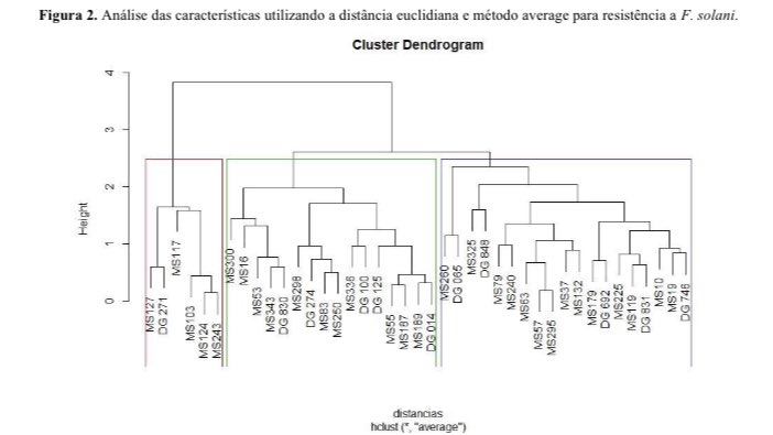 New material on resistance of cassava genotypes obtained from different locations to Fusarium solani 📝