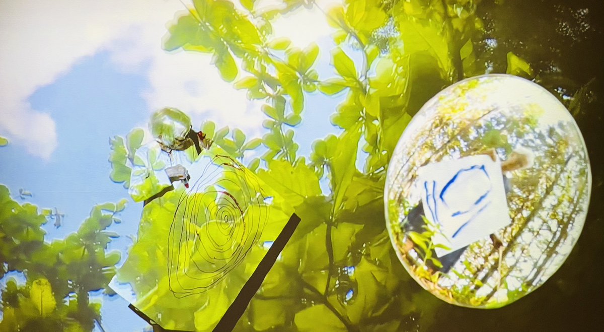 just taking a moment of calm to watch joan jonas draw a whale anus