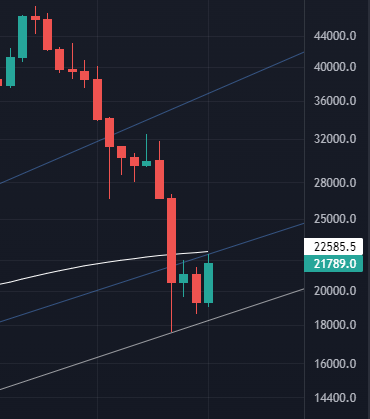 HodlSqueeze's tweet photo. #Bitcoin W caught between the 200W MA and some fibonacci fan lines. Significant? I wouldn't know.
#Nevertrade, invest and hold #HEX for passive income https://t.co/kT8ZiJoMK3