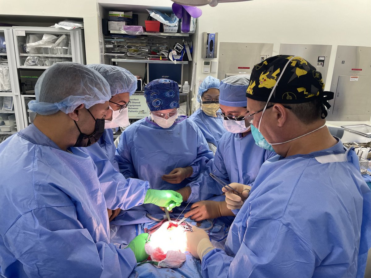FezaRemziMD's tweet photo. Wonderful to work with many Turks. At all clinical or research levels, they are here in 🇺🇸 because of their merit &amp; skillset which defined our country for centuries.Merit,liyakat matters for a nation
@TarikKiratMD @ArmanErkanMD @drvolkandogru @handeaydinli @ErenEsenMD @UmutAkova7 https://t.co/2YDLYexSUf