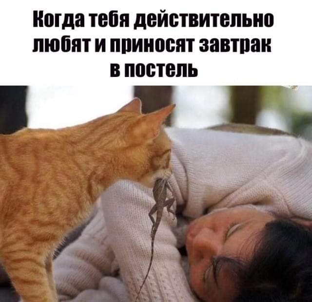 kotyaravesel's tweet photo. Дя😁 https://t.co/cT0HtlQJeF