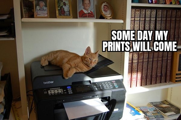 Jen Gentleman 🌺 tweet media