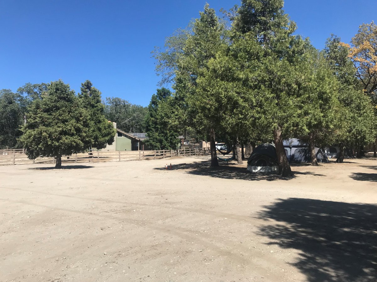 pgoodge's tweet image. State Farm and I had the opportunity recently to donate funds to @GirlScoutsSGC to help with the cost of supplies for some of their summer campers at their camp–Skyland Ranch. If you can donate, you can be assured it will be put to a very good use.
gssgc.org/en/donate/supp…

#GSSGC