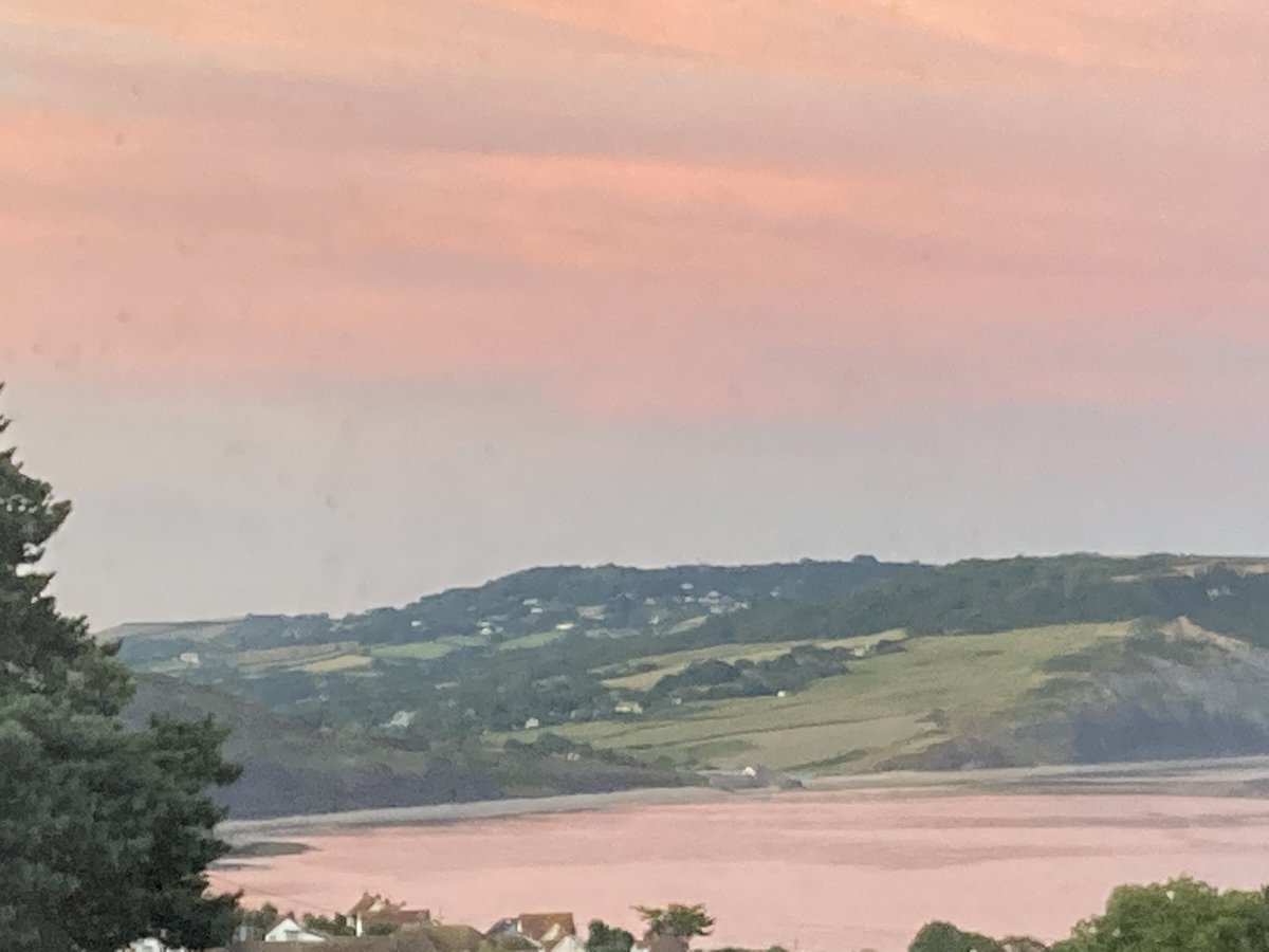 Turning pink #LymeRegis