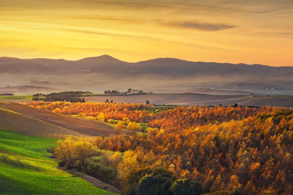 KeytoursVacay's tweet photo. Top Ten Vacation Deals for July
https://t.co/pxKJ1SuJXM
Summer is officially here! Now is the time to plan those fall getaways and last-minute beach vacays.
#falltravel #autumn #fall #fallgetaways #travel https://t.co/Vm9c15jTMI