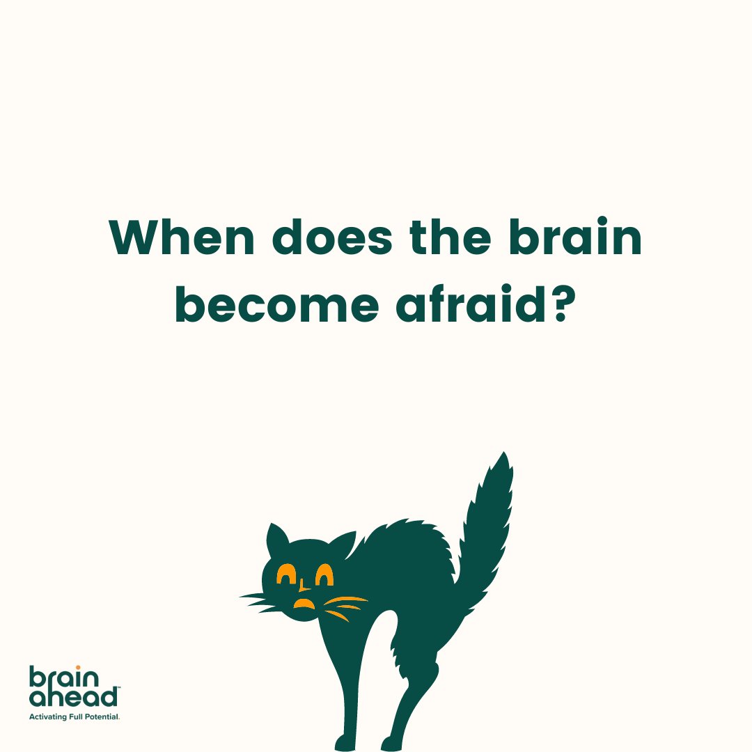 Happy, happy Friday!

Q: When does the brain become afraid?
A: When it loses its nerve!