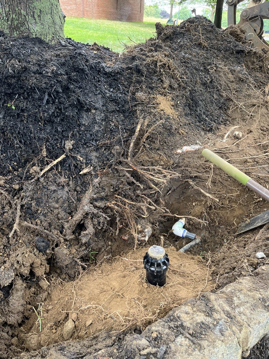 el_schultz's tweet image. Even if it seems impossible for that little bit , just keep going #persaverance