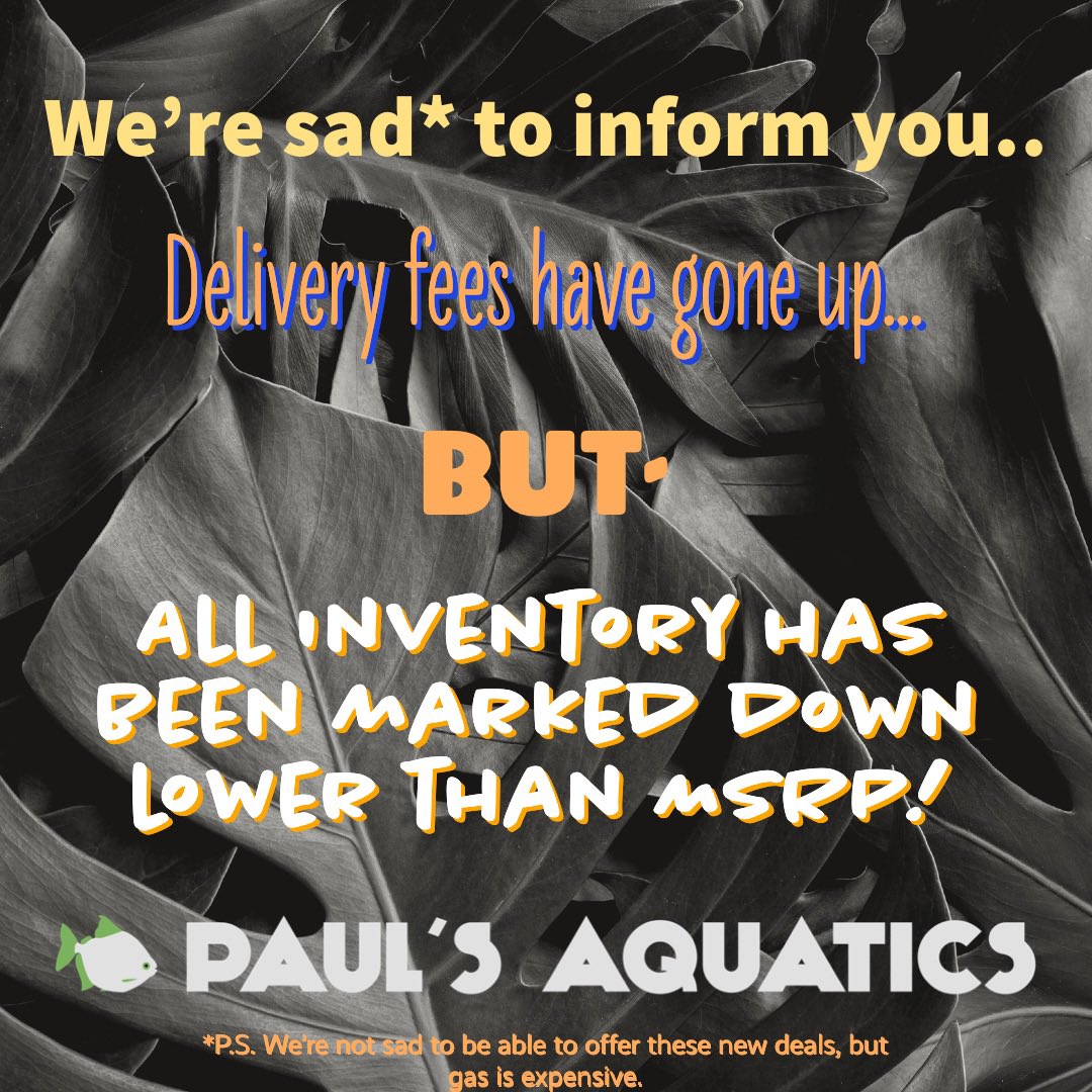 paulsaquatics's tweet photo. All inventory has been marked down ‘because’ delivery fees have gone up. Gas is expensive, but your water conditioner doesn’t have to be. #twincities #localfishstore #delivery https://t.co/FSCeD8UI3m
