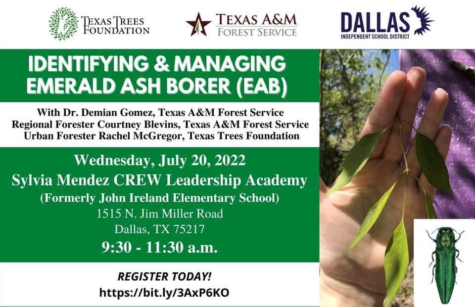 RachelMcG87's tweet photo. Happy to announce a training session for all tree professionals to mitigate the Emerald Ash Borer (EAB) infestation. The session will be held on Wednesday, July 20th at 9:30 am, Sylvia Mendez CREW Leadership Academy. Register today https://t.co/n9vyxZ8LUY https://t.co/XMhW2bYOdD