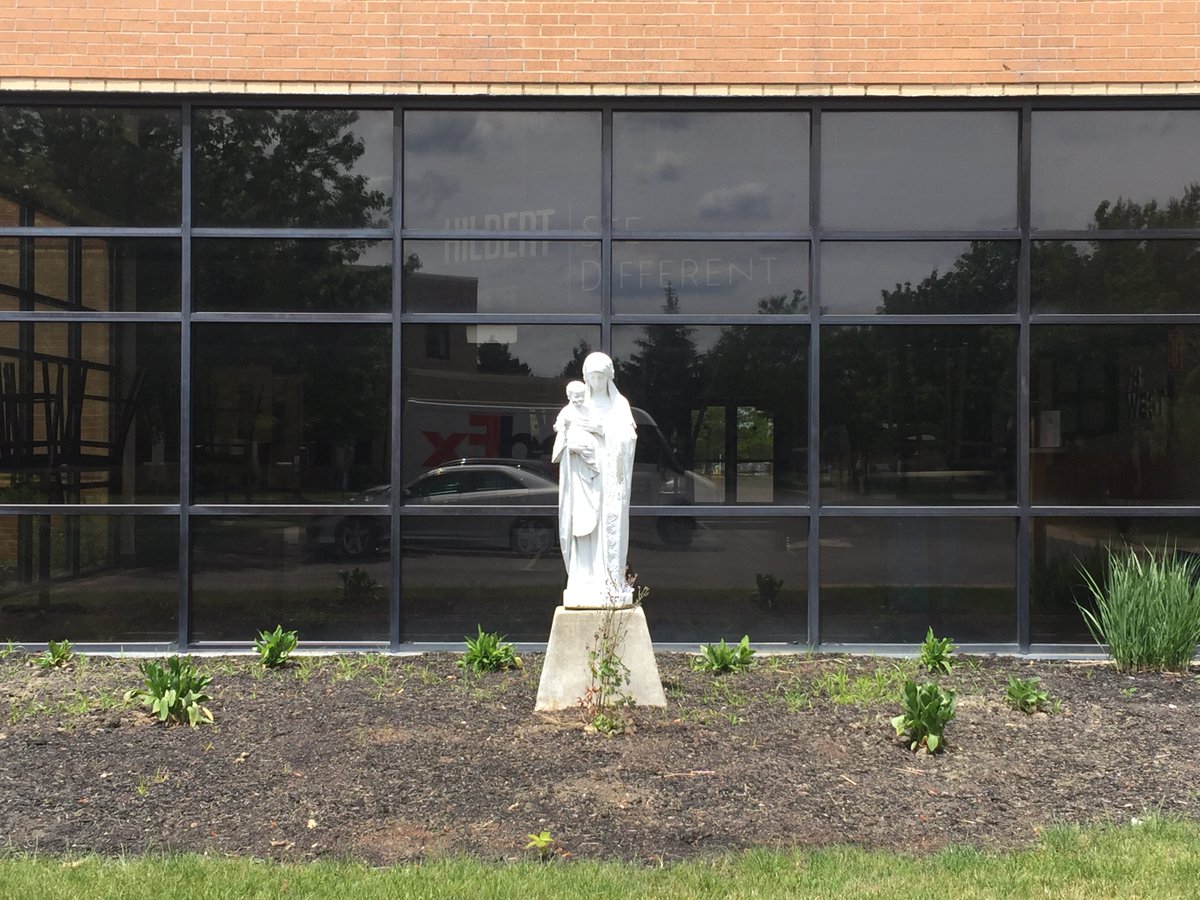 hilbertreligion's tweet photo. Images of the #MaryGarden @HilbertCollege: June 6, 2021 and July 7, 2022. Seeds, compost, water, sun, time. Happy to learn that nature still works. https://t.co/GmB7aLmApo