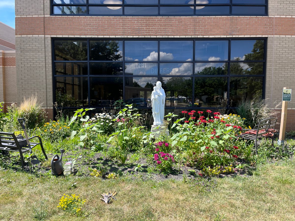 Images of the #MaryGarden <a href="/HilbertCollege/">Hilbert College</a>: June 6, 2021 and July 7, 2022. Seeds, compost, water, sun, time. Happy to learn that nature still works.