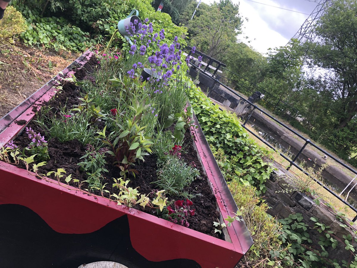 Middleton In Bloom tweet media