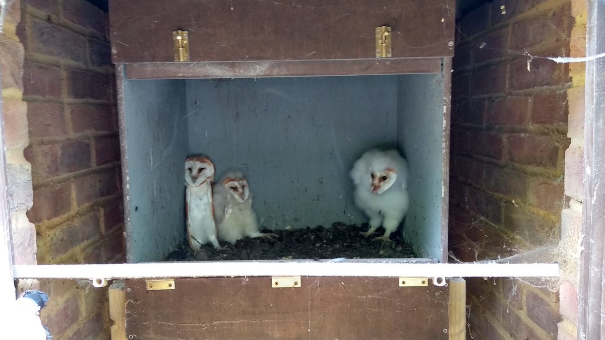 Satisfying when something you have built gets used for its intended purpose.