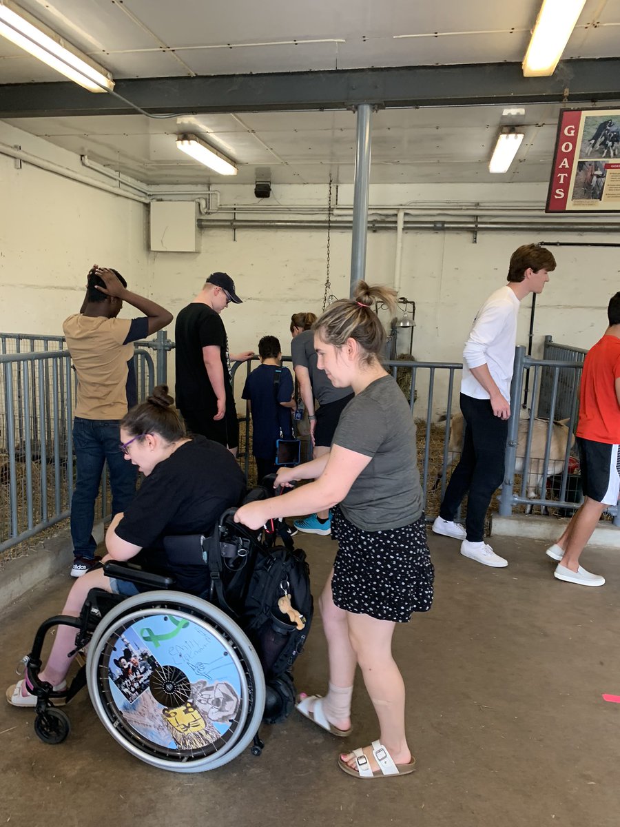 MsAlberty's tweet image. Visit to the Kensington farm!