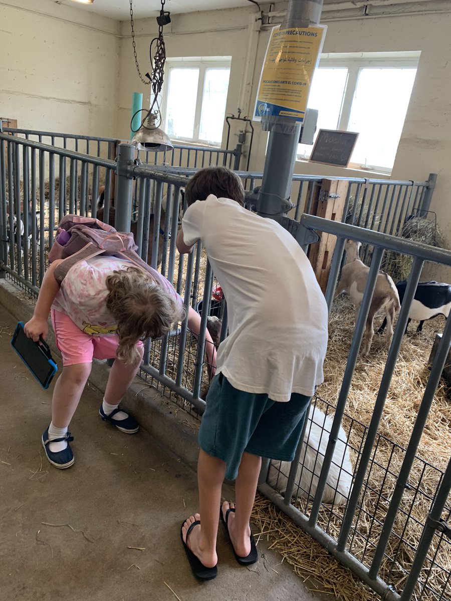 MsAlberty's tweet image. Visit to the Kensington farm!