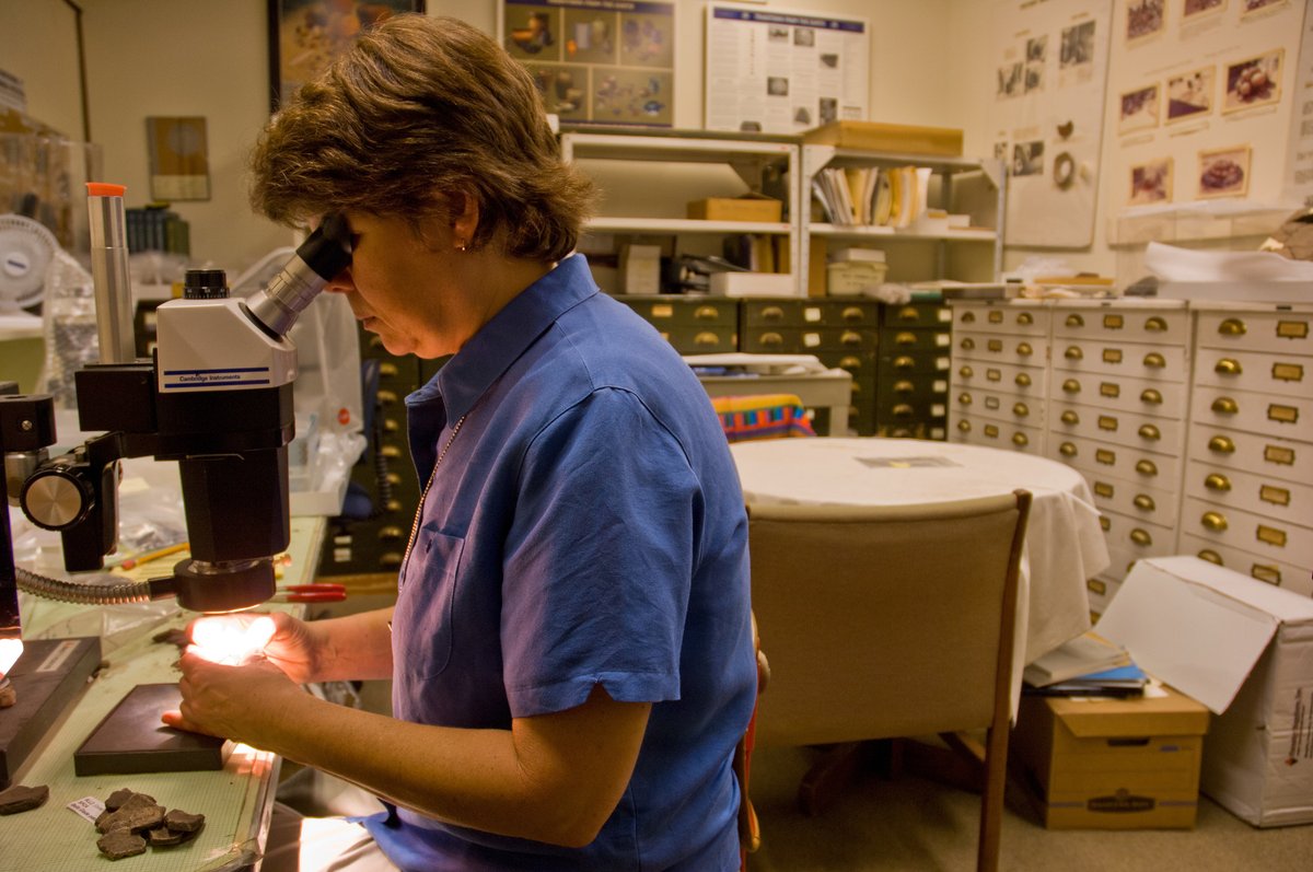 FloridaMuseum's tweet photo. We're hiring! 📌 Ceramic Technology Laboratory and Florida Archaeology Collections Manager
🔸 Full time position info: https://t.co/HzdAR75HRz
🔸 Apply via @UF: https://t.co/BJ5sk0dLCY
🔸 About the CTL: https://t.co/os5aP573Fk https://t.co/r3ywN9wBBU