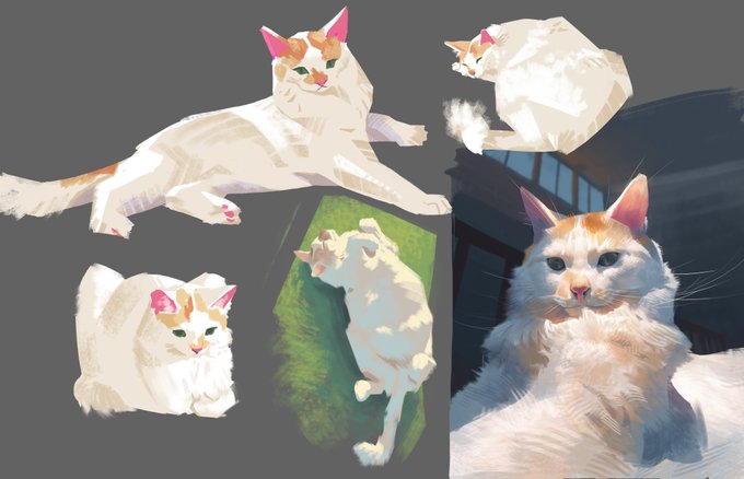 「white fur」 illustration images(Popular｜RT&Fav:50)