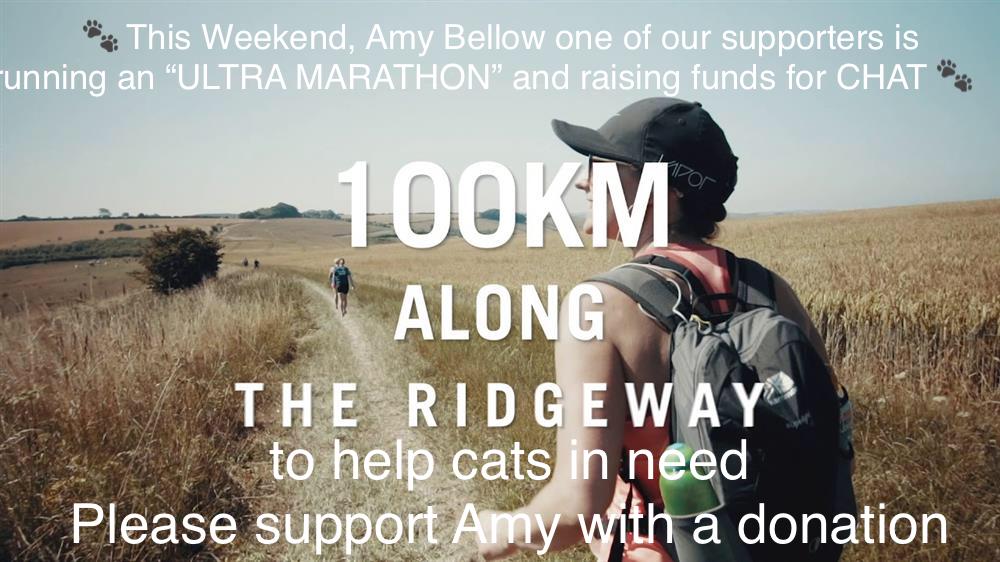 OMG! #ultramarathon #support Amy in raising funds for #rescuecats #celiahammondanimaltrust this weekend please click below for Amy’s just giving page you’ll smash it Amy xx justgiving.com/fundraising/am…